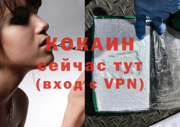 ГАЛЛЮЦИНОГЕННЫЕ ГРИБЫ Магас