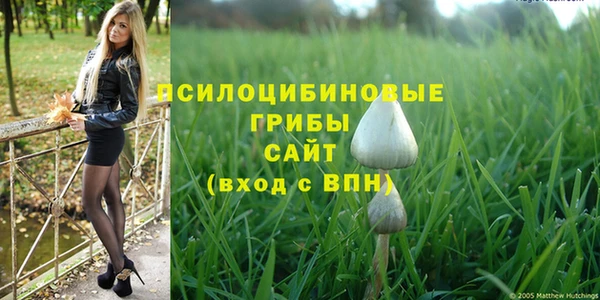 jwh Медногорск