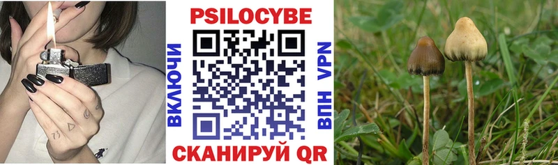 Галлюциногенные грибы GOLDEN TEACHER  Снежинск 