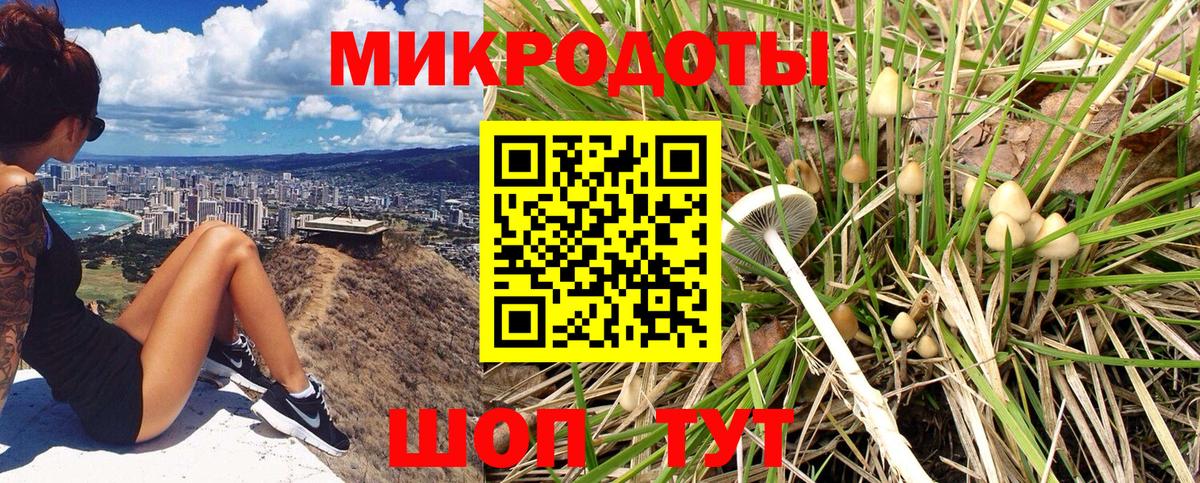 Галлюциногенные грибы мухоморы Снежинск