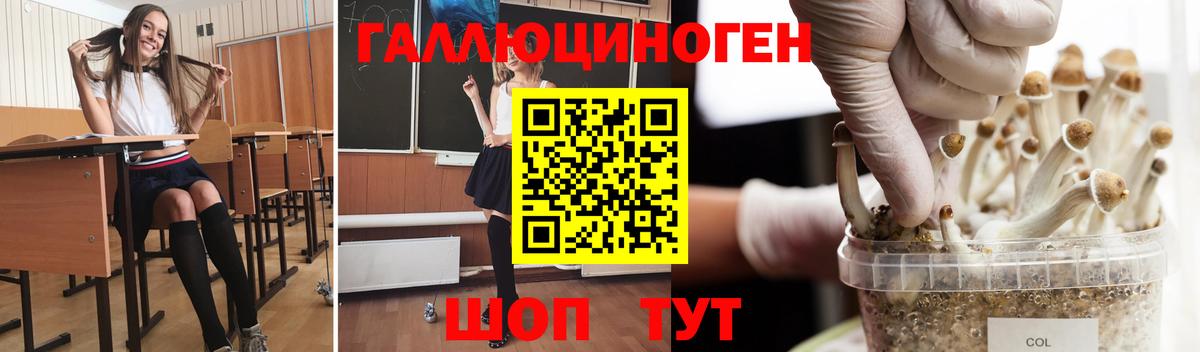 Снежинск  Псилоцибиновые грибы Magic Shrooms  Вход с VPN 